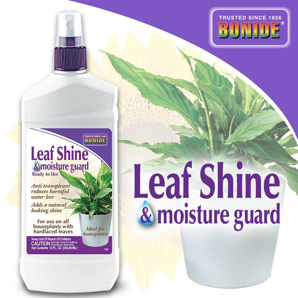 Bonide Houseplant Leaf Shine
