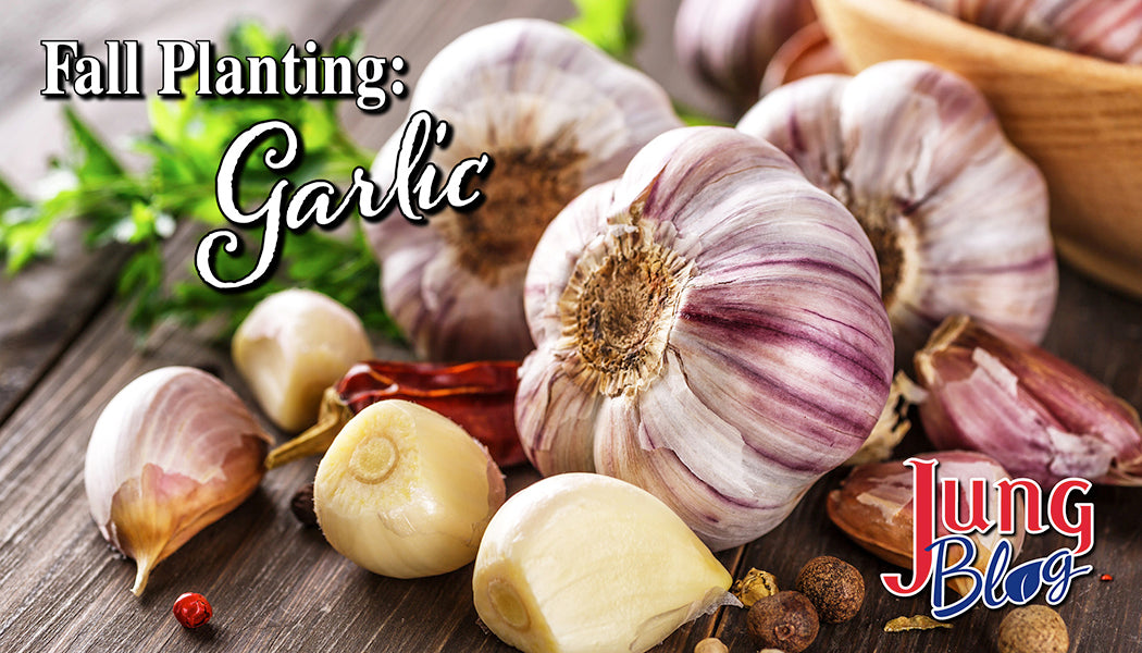 Jung Garden Center Jung Garden Centers