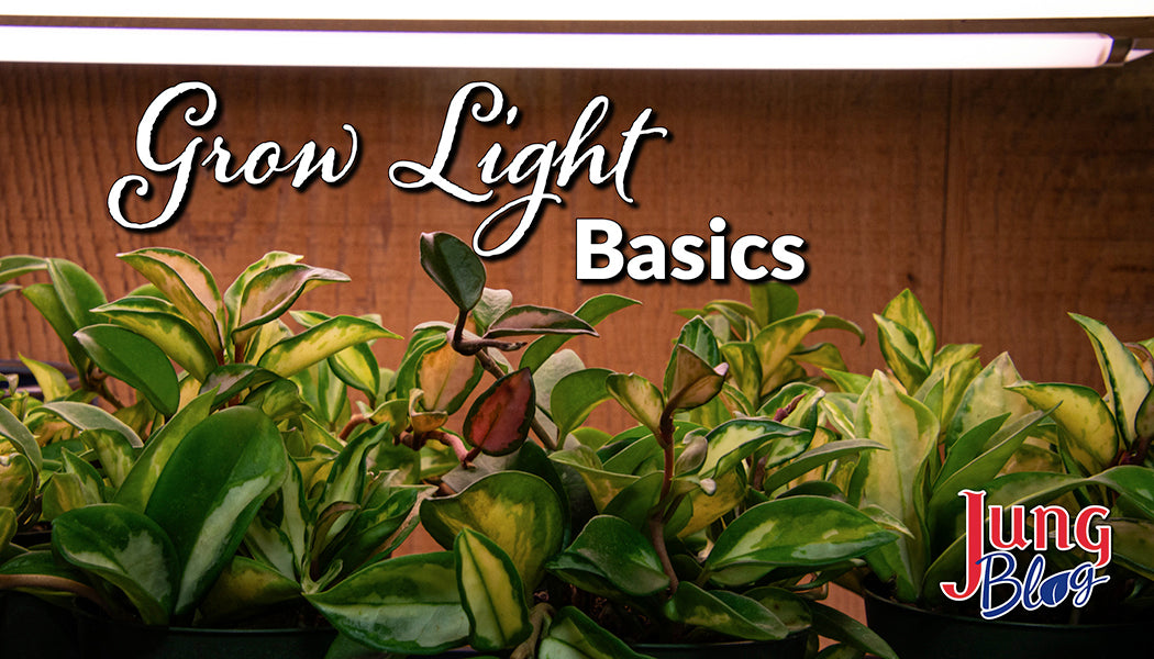 Jung Garden Center Jung Garden Centers