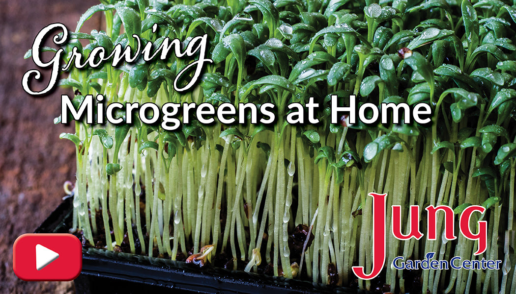 Jung Garden Center Jung Garden Centers