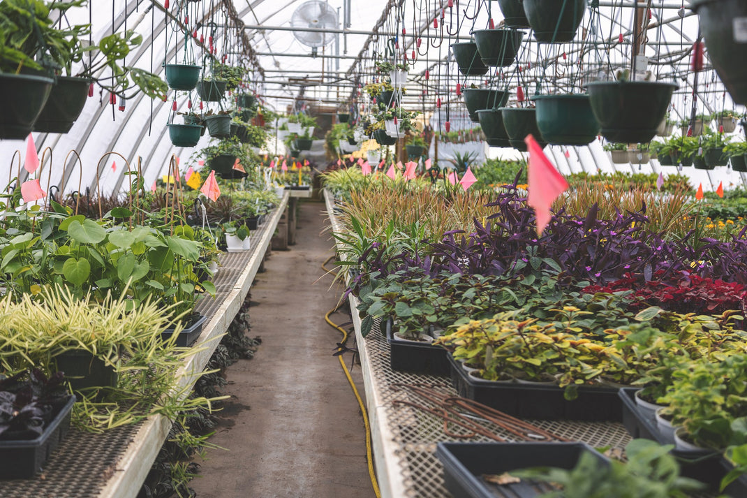 Houseplant Supplies Jung Garden Centers