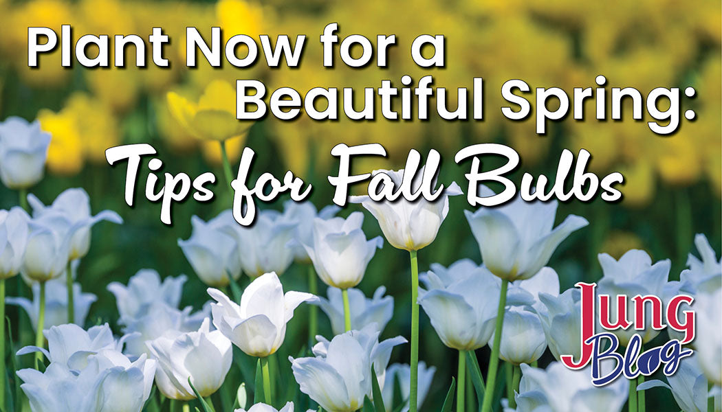 Jung Garden Center Jung Garden Centers