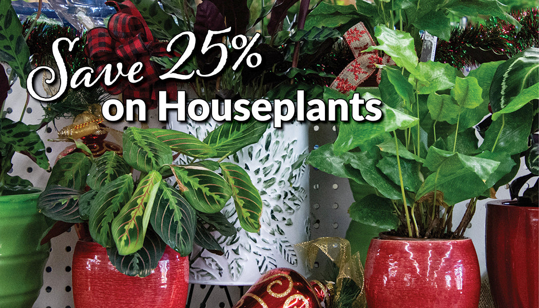 Jung Garden Center Jung Garden Centers