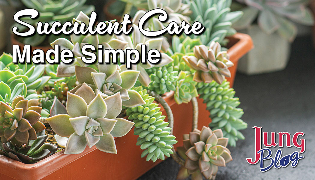 Jung Garden Center Jung Garden Centers